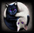 Yin Yang Cats with Purple Eyes